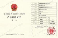中央投资乙级资质